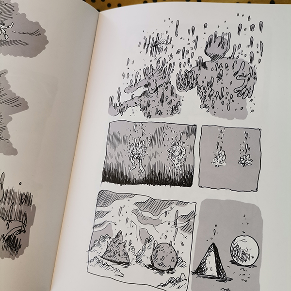 IMG_20240404_111027_resized_20240510_103132960